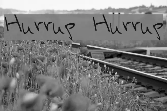 Hurryup Hurryup Polices examples