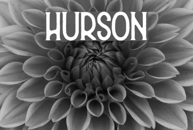 Hurson Font examples