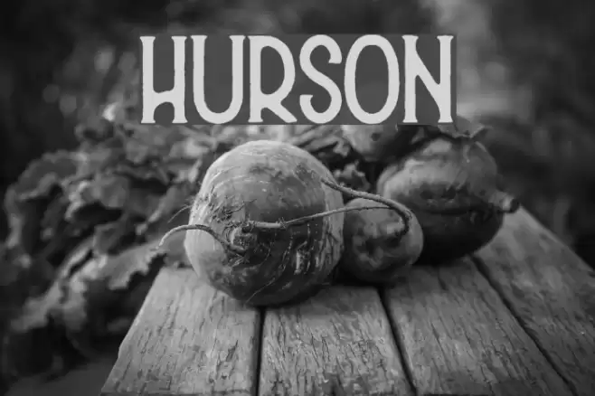 Hurson Font examples