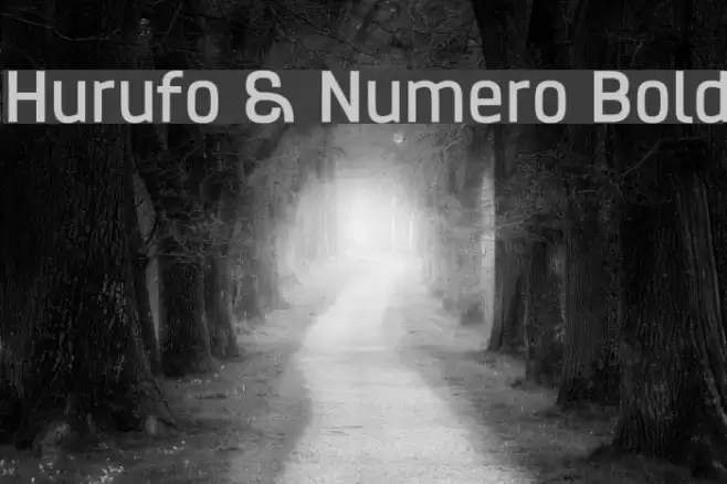 Hurufo & Numero Bold Fonte examples