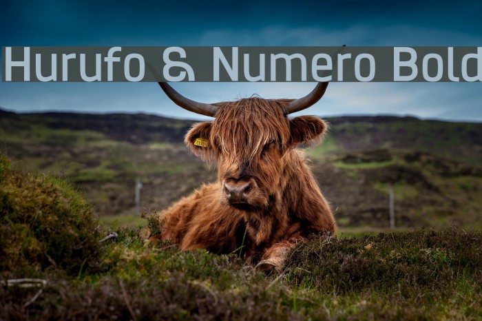 Hurufo & Numero Bold Fonte examples