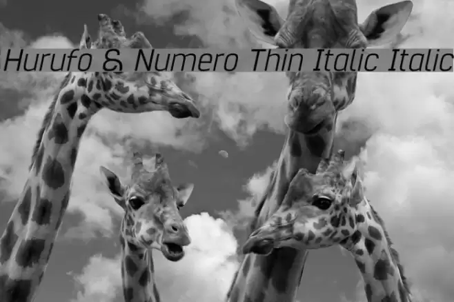 Hurufo & Numero Thin Italic Italic Font examples