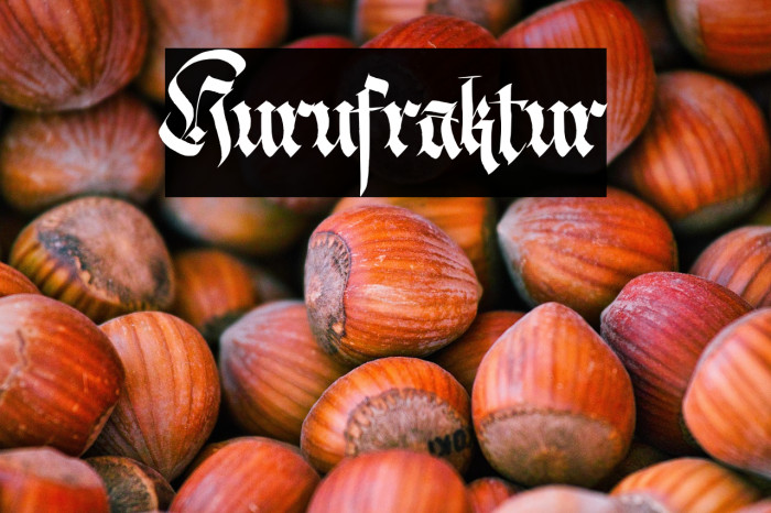 Hurufraktur Example 1