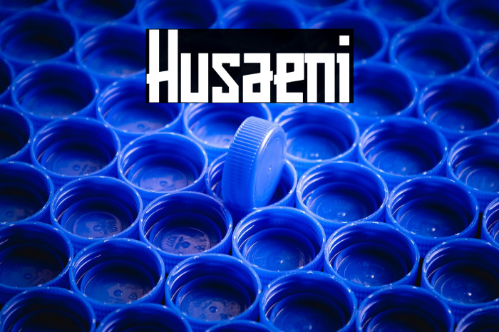 Husaeni Example 3