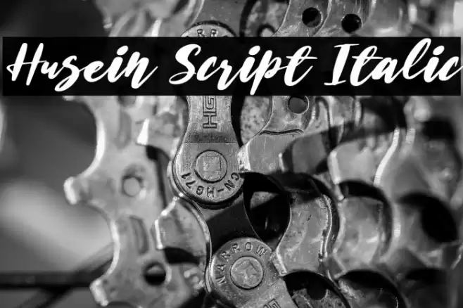 Husein Script Italic Font examples