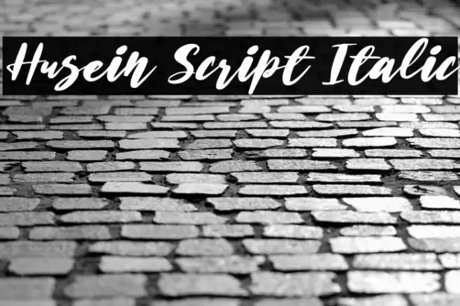 Husein Script Italic Font examples