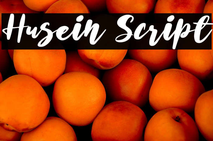 Husein Script Example 2