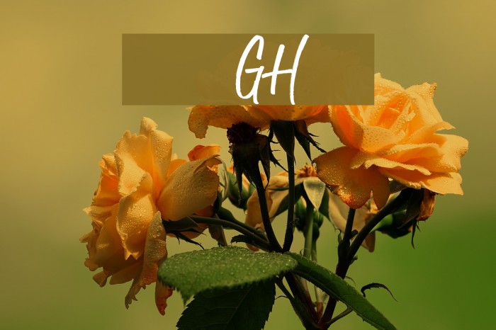 Husky Giggle DEMO Regular Font examples