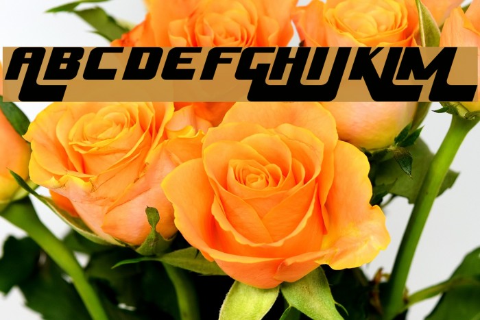 Husky Stash Font examples