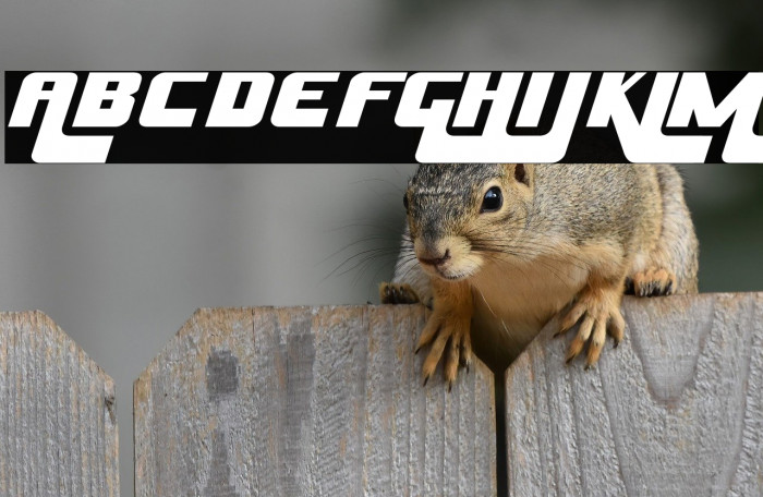 HuskyStash-Regular Example 1