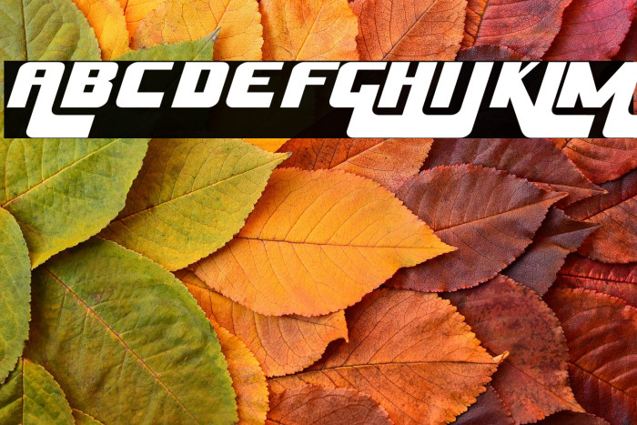 HuskyStash-Regular Example 2