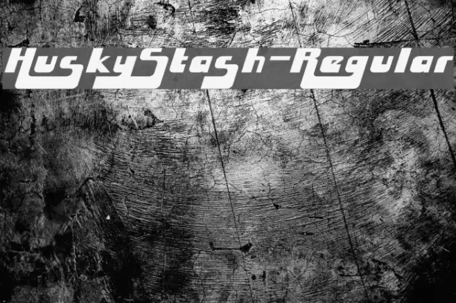 HuskyStash-Regular Font examples