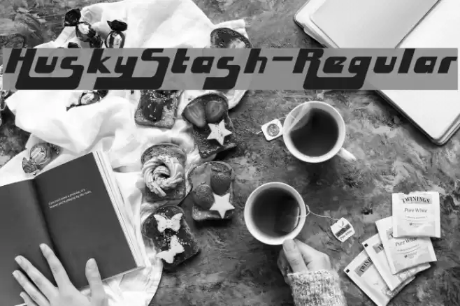 HuskyStash-Regular Font examples