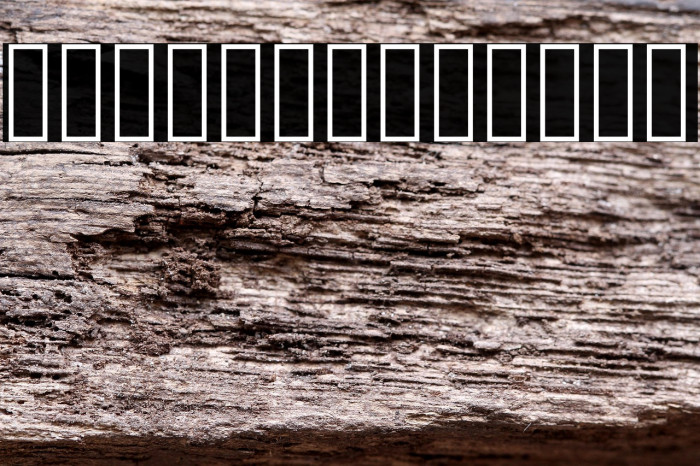 Hussaini Nastaleeq Example 1