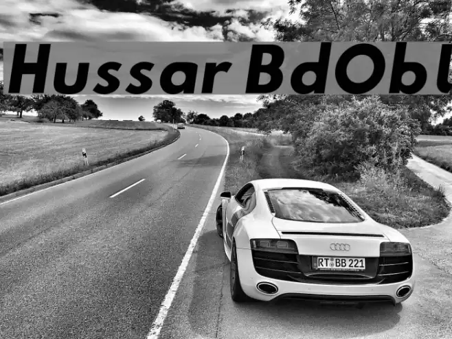 Hussar BdObl examples