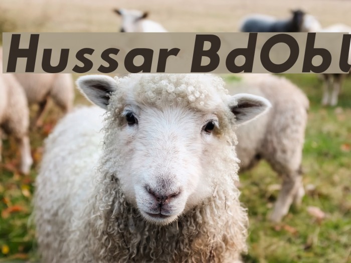 Hussar BdObl Font examples