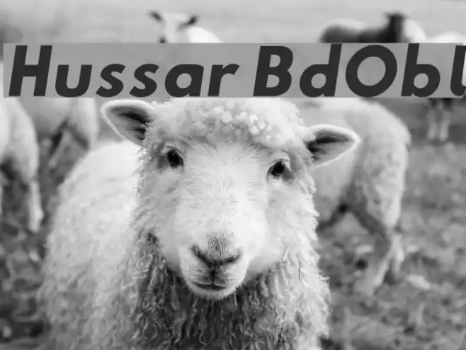Hussar BdObl examples