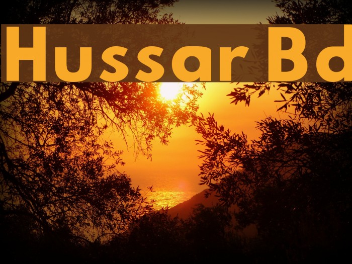 Hussar Bd Font examples