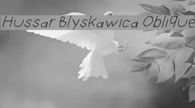 Hussar Blyskawica Oblique Font examples