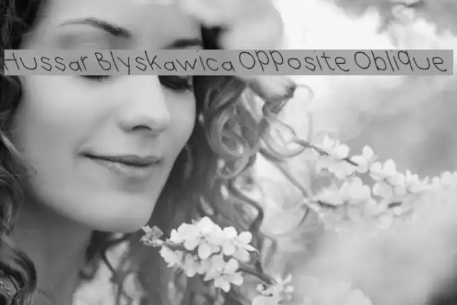 Hussar Blyskawica Opposite Oblique Font examples