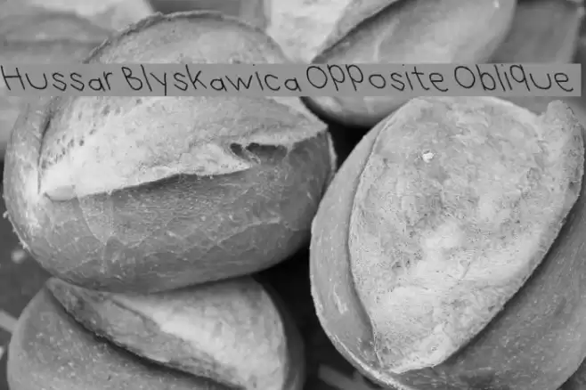 Hussar Blyskawica Opposite Oblique Font examples