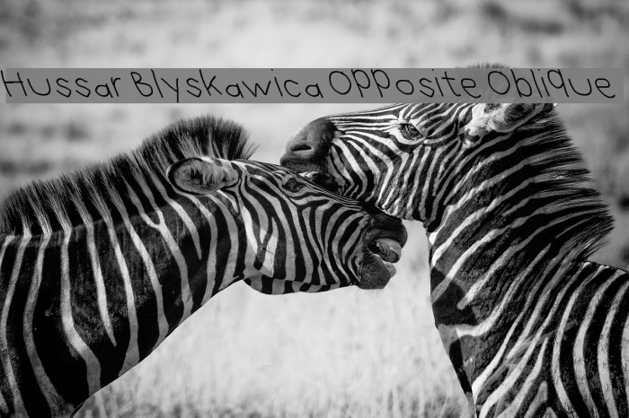 Hussar Blyskawica Opposite Oblique Шрифта examples