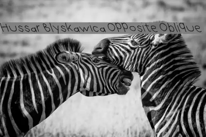 Hussar Blyskawica Opposite Oblique Font examples