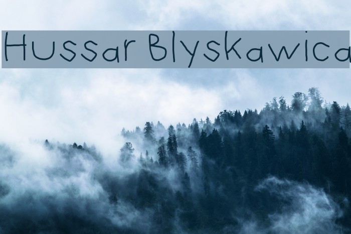 Hussar Blyskawica Example 2