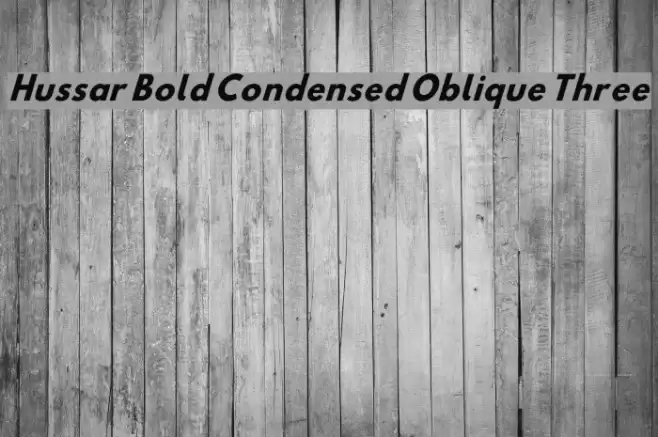 Hussar Bold Condensed Oblique Three Schriftart examples