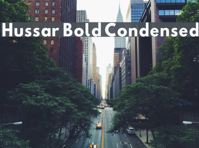 Hussar Bold Condensed Font examples