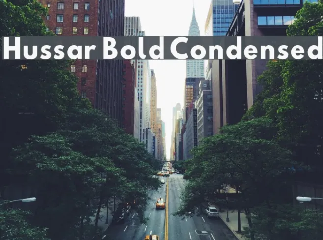 Hussar Bold Condensed Example 1