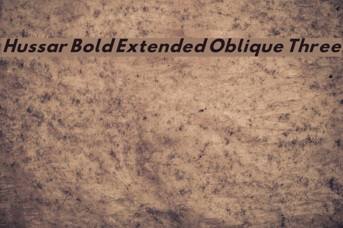 Hussar Bold Extended Oblique Three Font examples