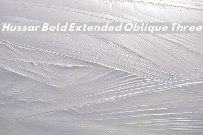 Hussar Bold Extended Oblique Three Font examples