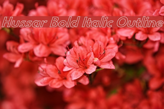 Hussar Bold Italic Outline Font examples
