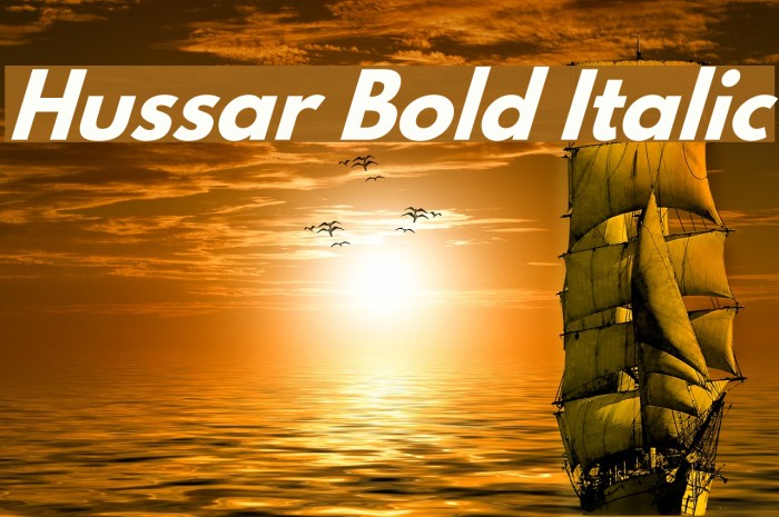 Hussar Bold Italic Font examples