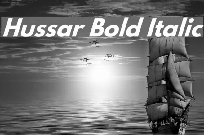 Hussar Bold Italic  examples