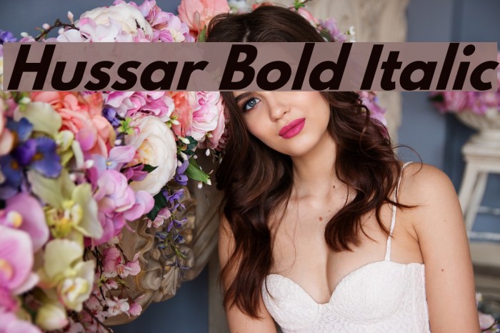 Hussar Bold Italic Font examples