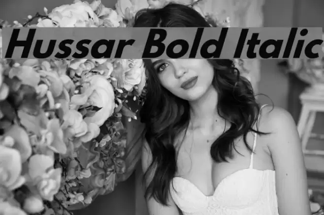 Hussar Bold Italic  examples