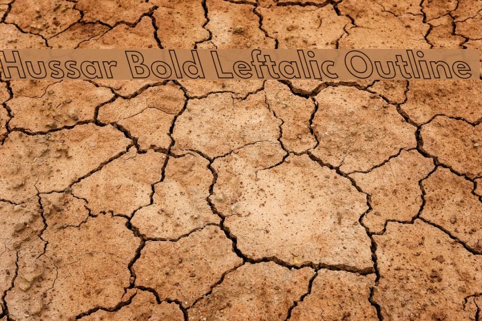 Hussar Bold Leftalic Outline Font examples
