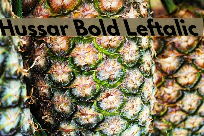 Hussar Bold Leftalic Font examples