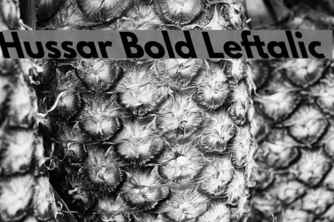 Hussar Bold Leftalic  examples