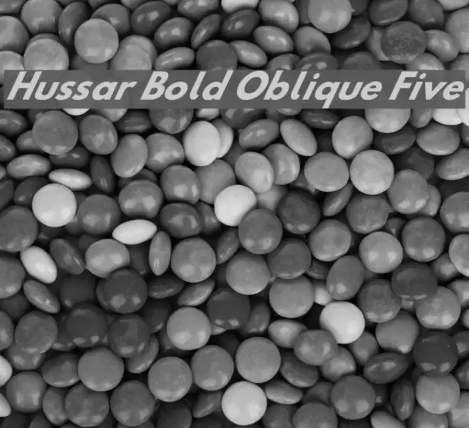 Hussar Bold Oblique Five Font examples