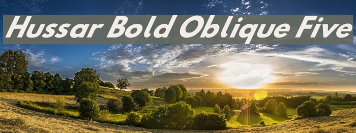 Hussar Bold Oblique Five Example 3