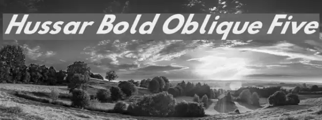 Hussar Bold Oblique Five Font examples