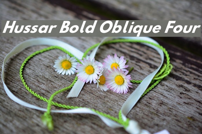 Hussar Bold Oblique Four Font examples