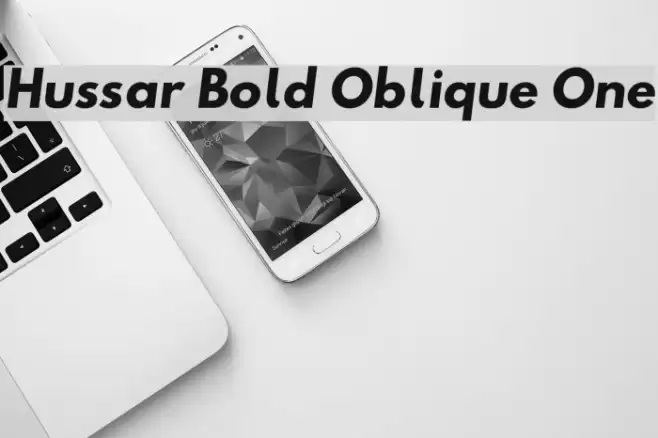 Hussar Bold Oblique One  examples