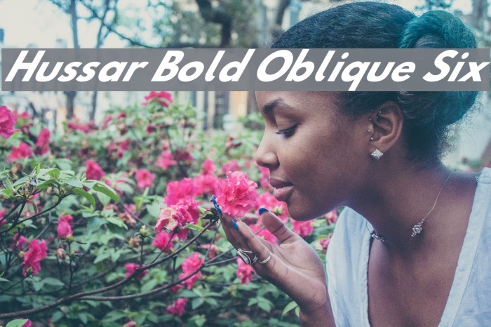 Hussar Bold Oblique Six Font examples
