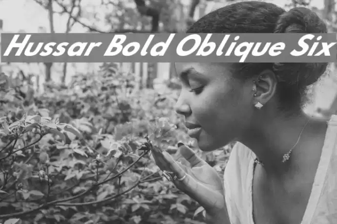 Hussar Bold Oblique Six Font examples