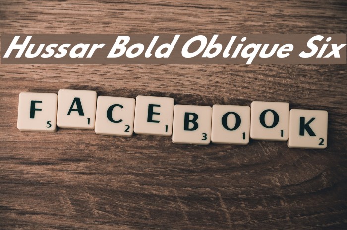 Hussar Bold Oblique Six Font examples