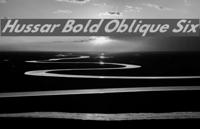 Hussar Bold Oblique Six Font examples